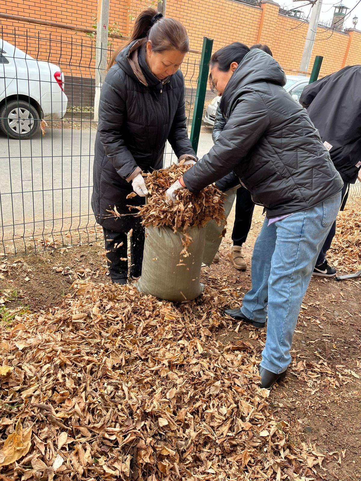 «Чистая среда – залог здорового общества»